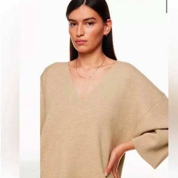 Aritzia Wilfred Free Souvenir Sweater Heather Taupe V Neck 3/4 Sleeve Oversized - Picture 3 of 15